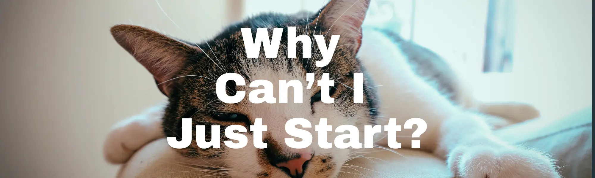 Resistance Is Just Laziness